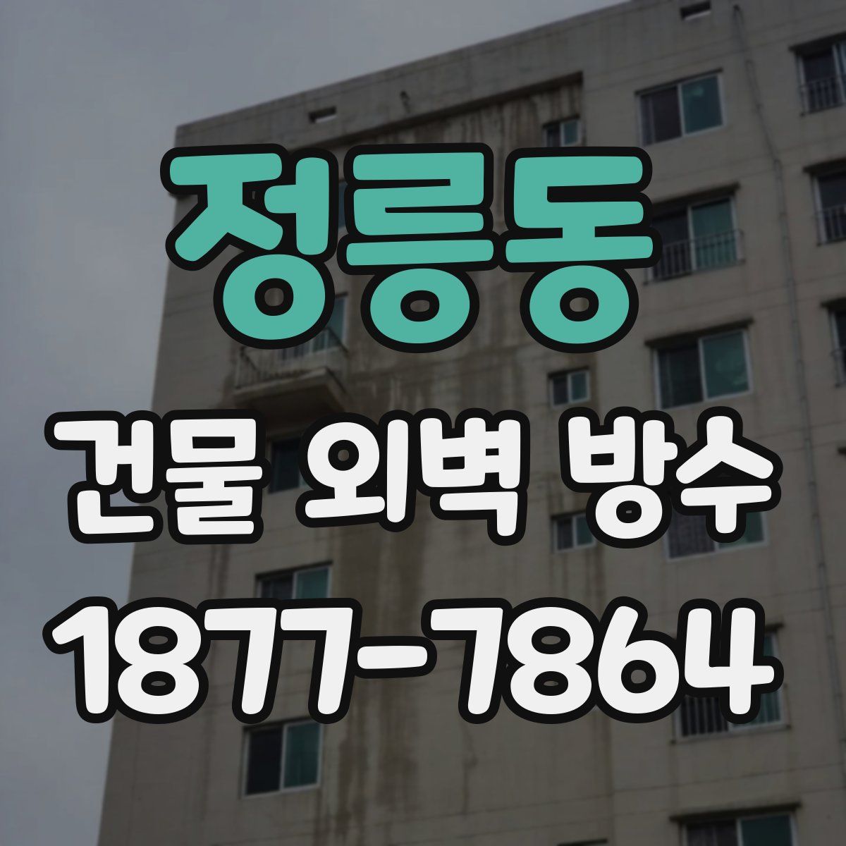 정릉동 건물 외벽 방수