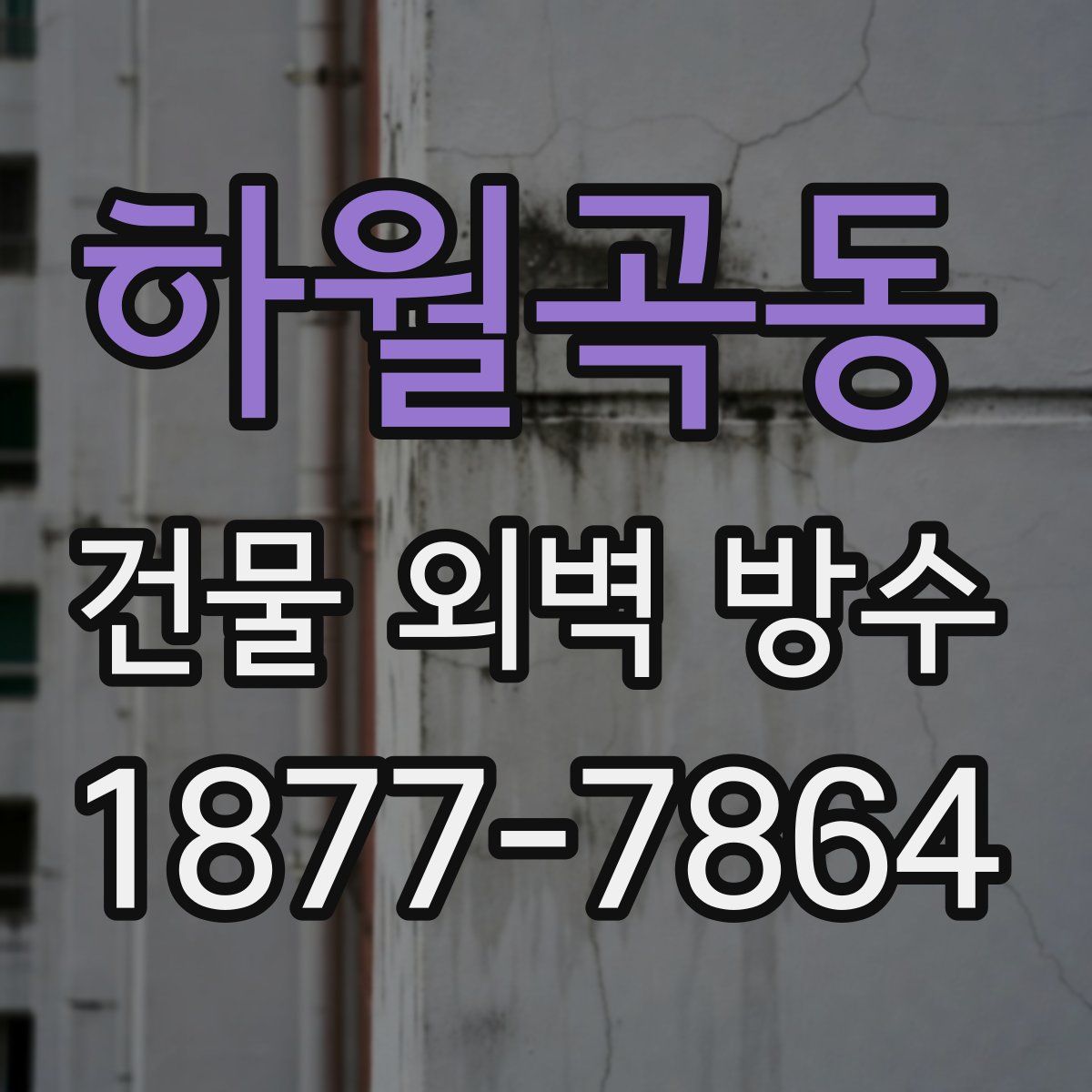 하월곡동 건물 외벽 방수