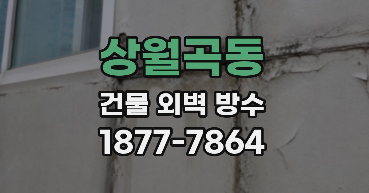 상월곡동 건물 외벽 방수