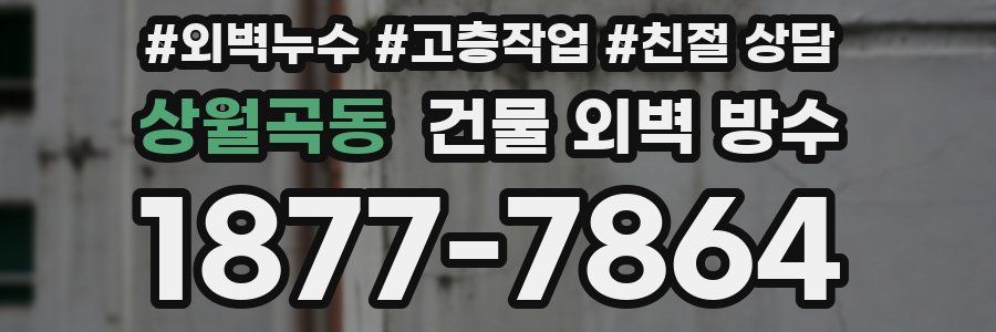 상월곡동 건물 외벽 방수