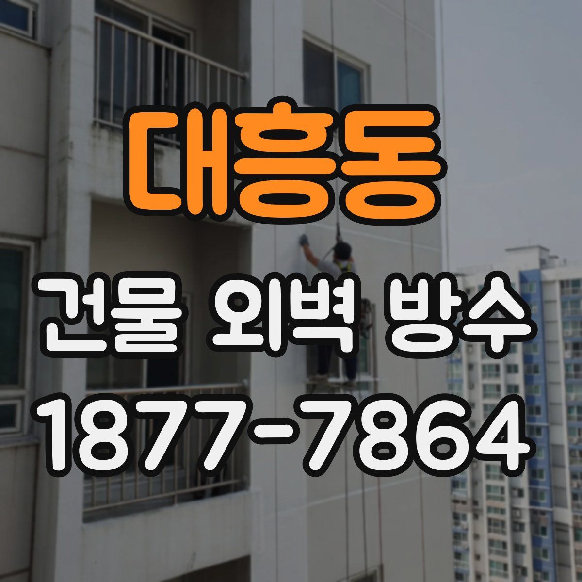 대흥동 건물 외벽 방수