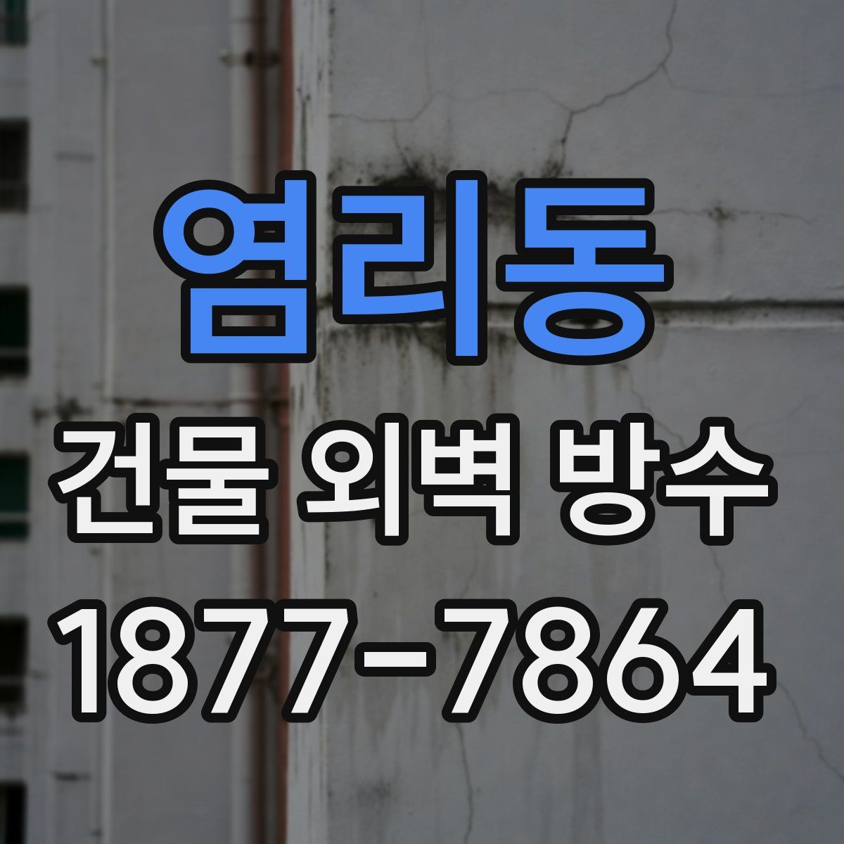 염리동 건물 외벽 방수