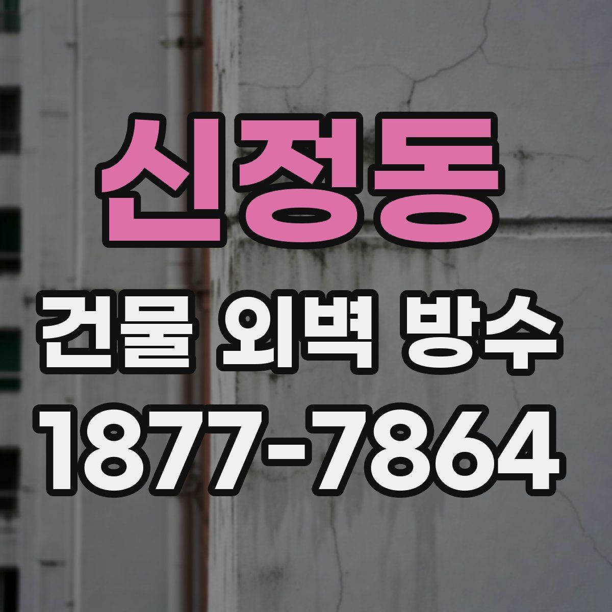 신정동 건물 외벽 방수