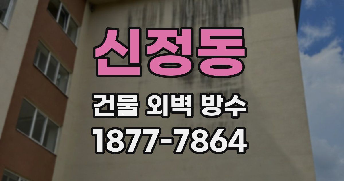 신정동 건물 외벽 방수