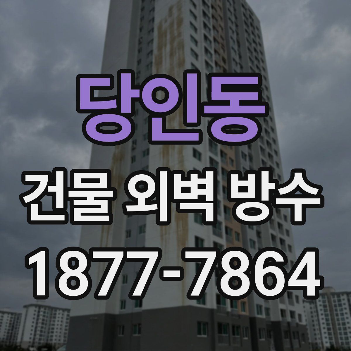 당인동 건물 외벽 방수