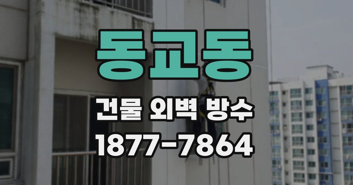 동교동 건물 외벽 방수