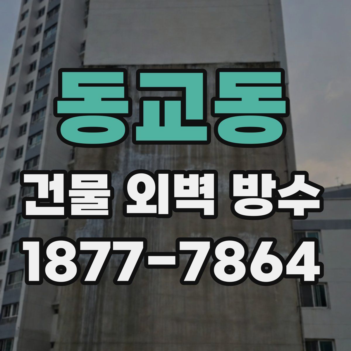 동교동 건물 외벽 방수