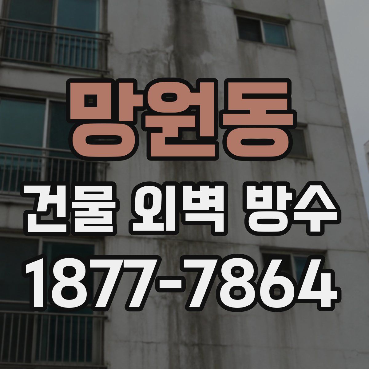 망원동 건물 외벽 방수