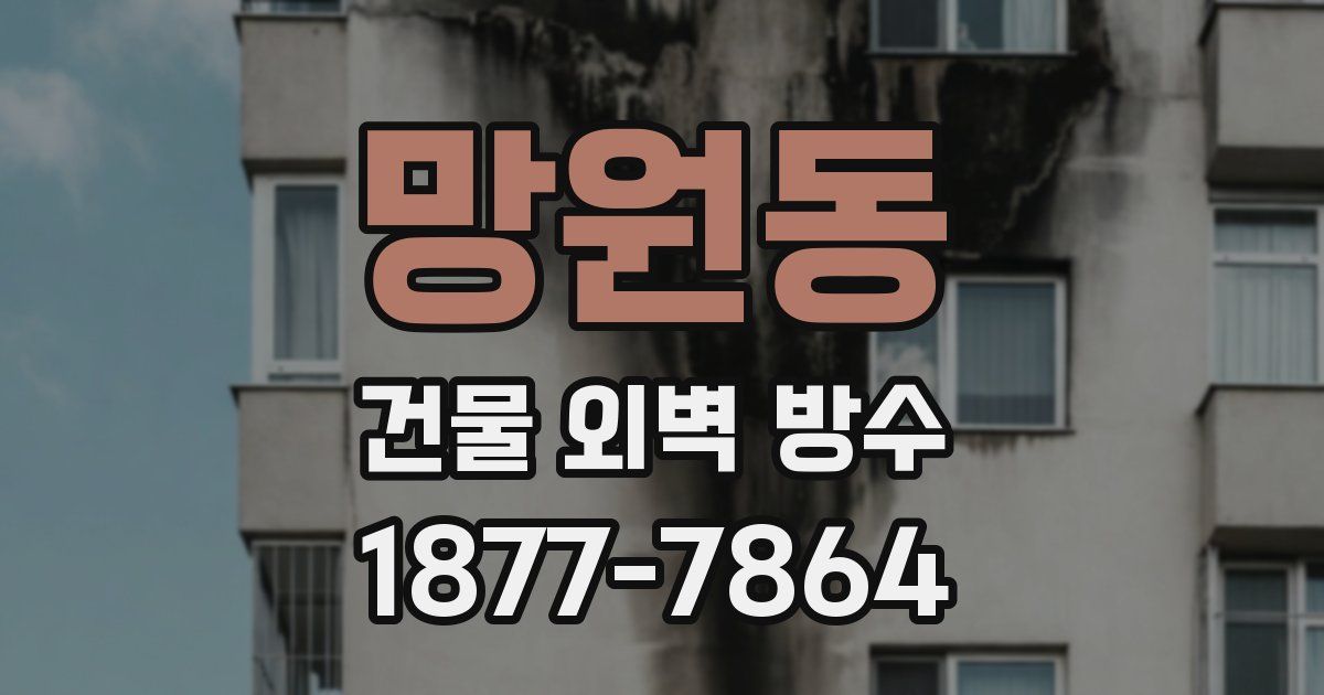 망원동 건물 외벽 방수