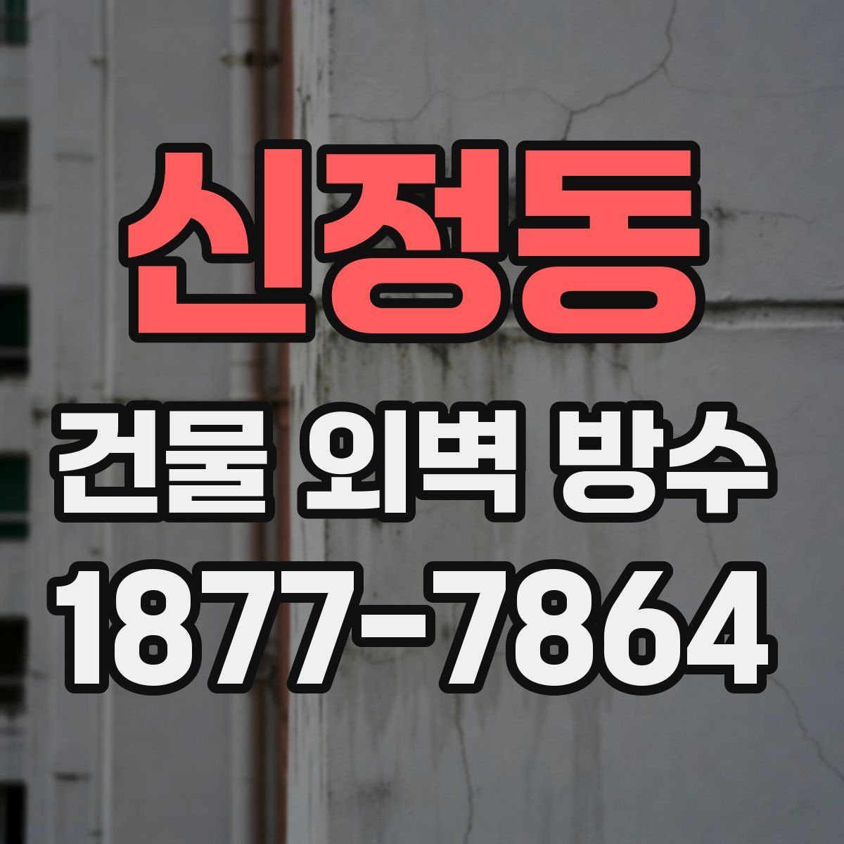 신정동 건물 외벽 방수