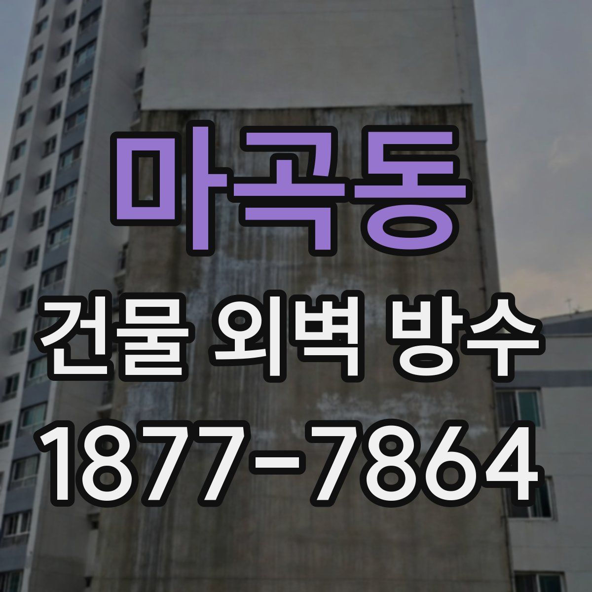 마곡동 건물 외벽 방수