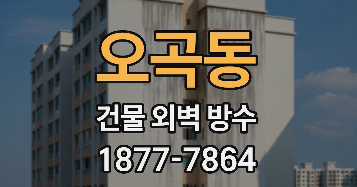 오곡동 건물 외벽 방수