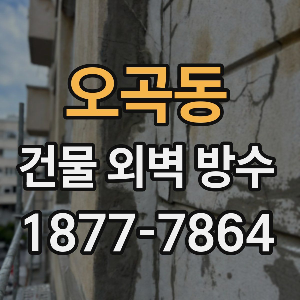 오곡동 건물 외벽 방수
