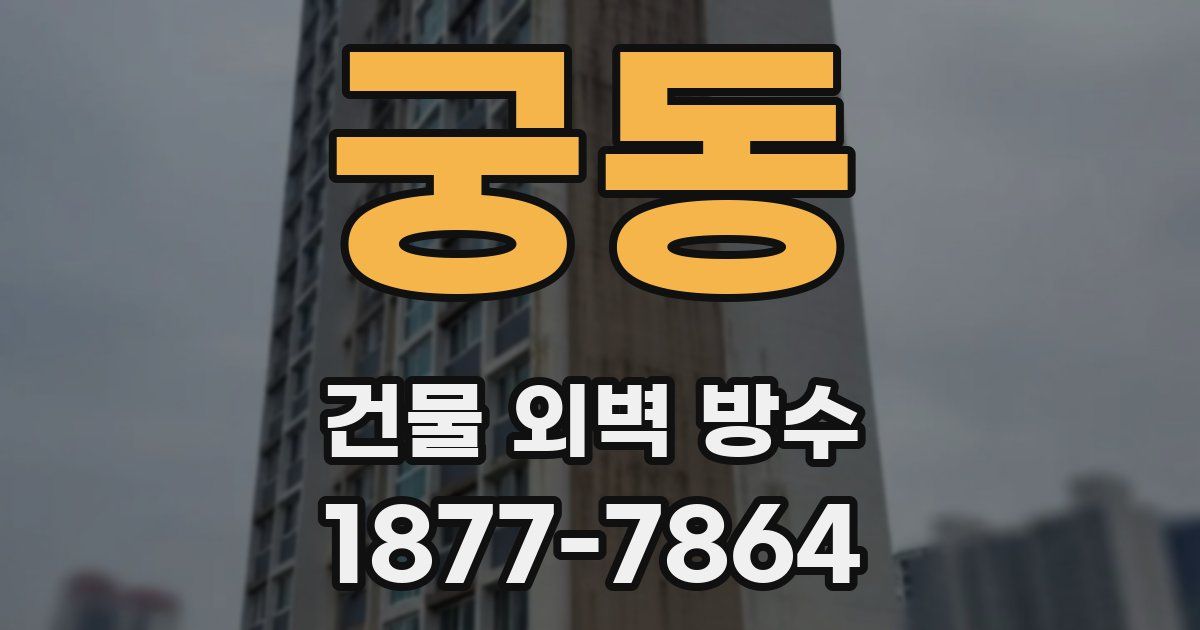 궁동 건물 외벽 방수