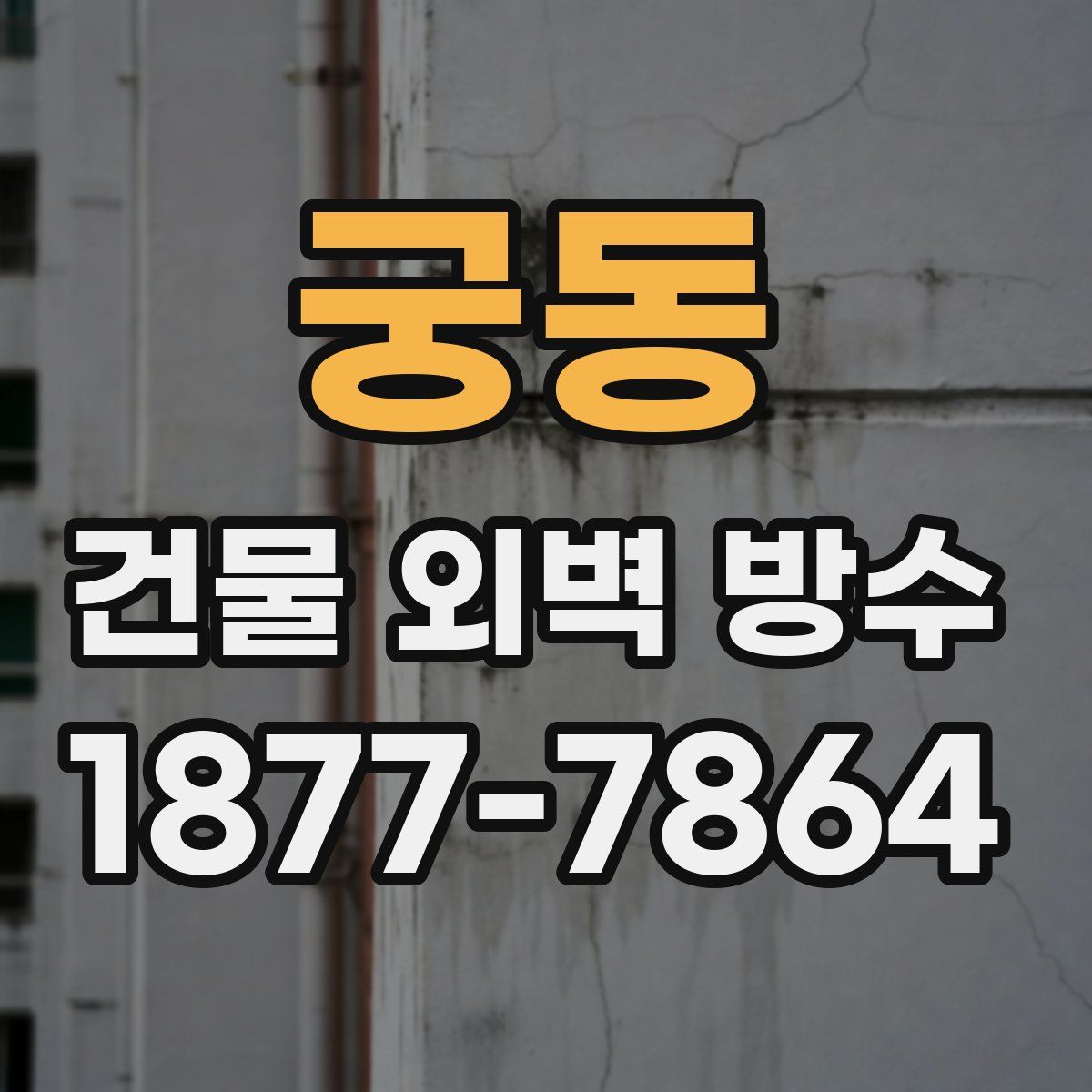 궁동 건물 외벽 방수
