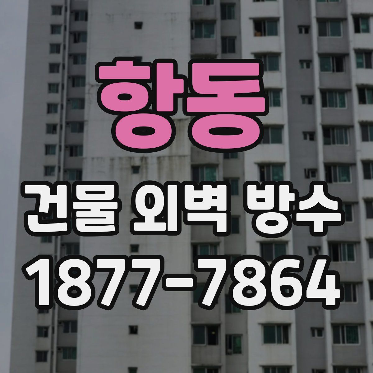 항동 건물 외벽 방수