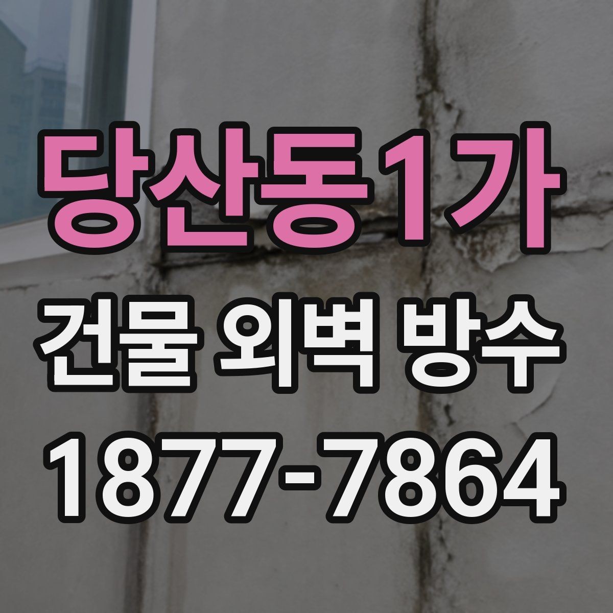 당산동1가 건물 외벽 방수 공사 전후 관리 방법