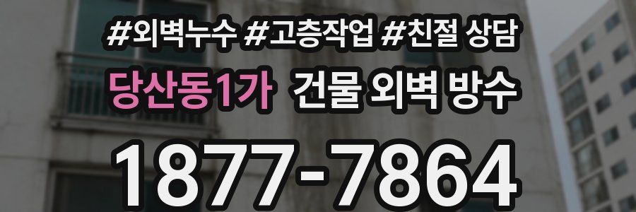 당산동1가 건물 외벽 방수