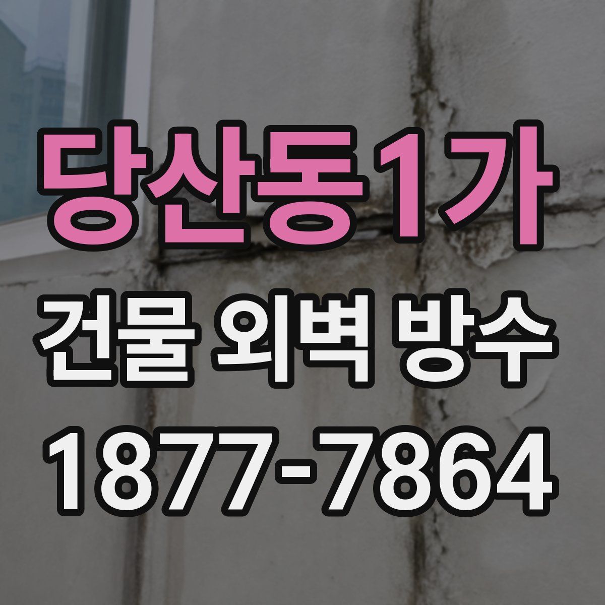 당산동1가 건물 외벽 방수