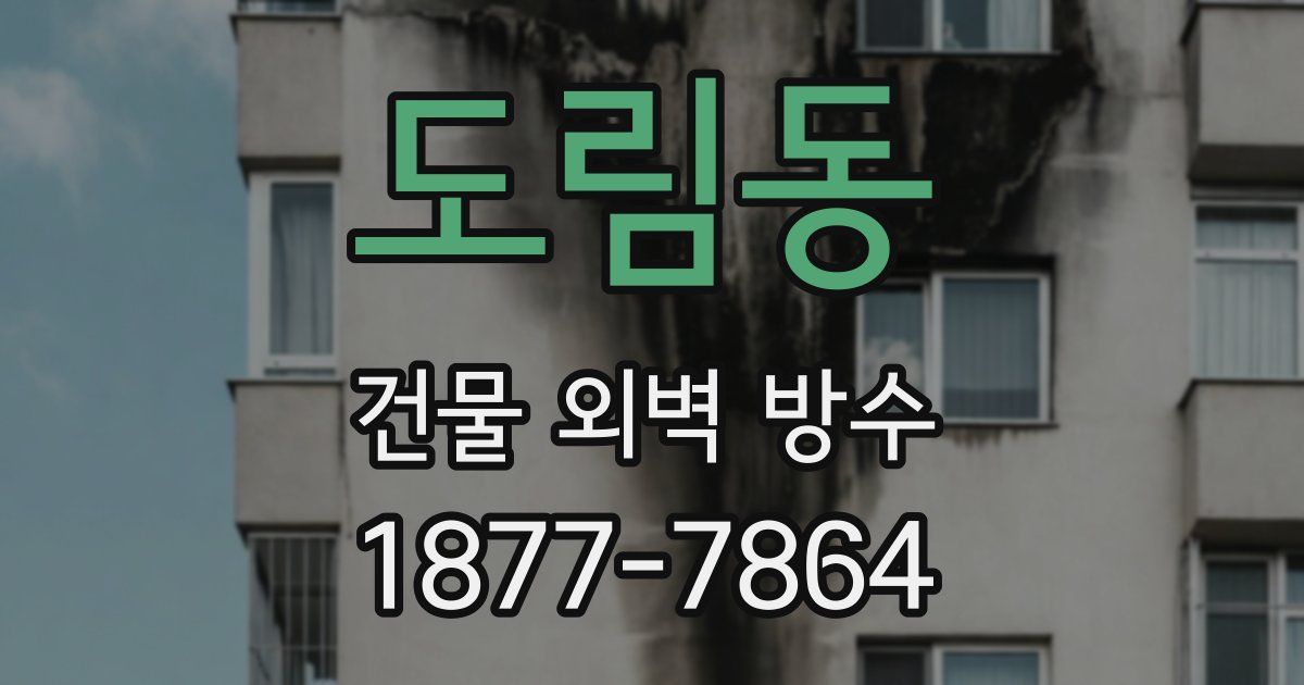 도림동 건물 외벽 방수