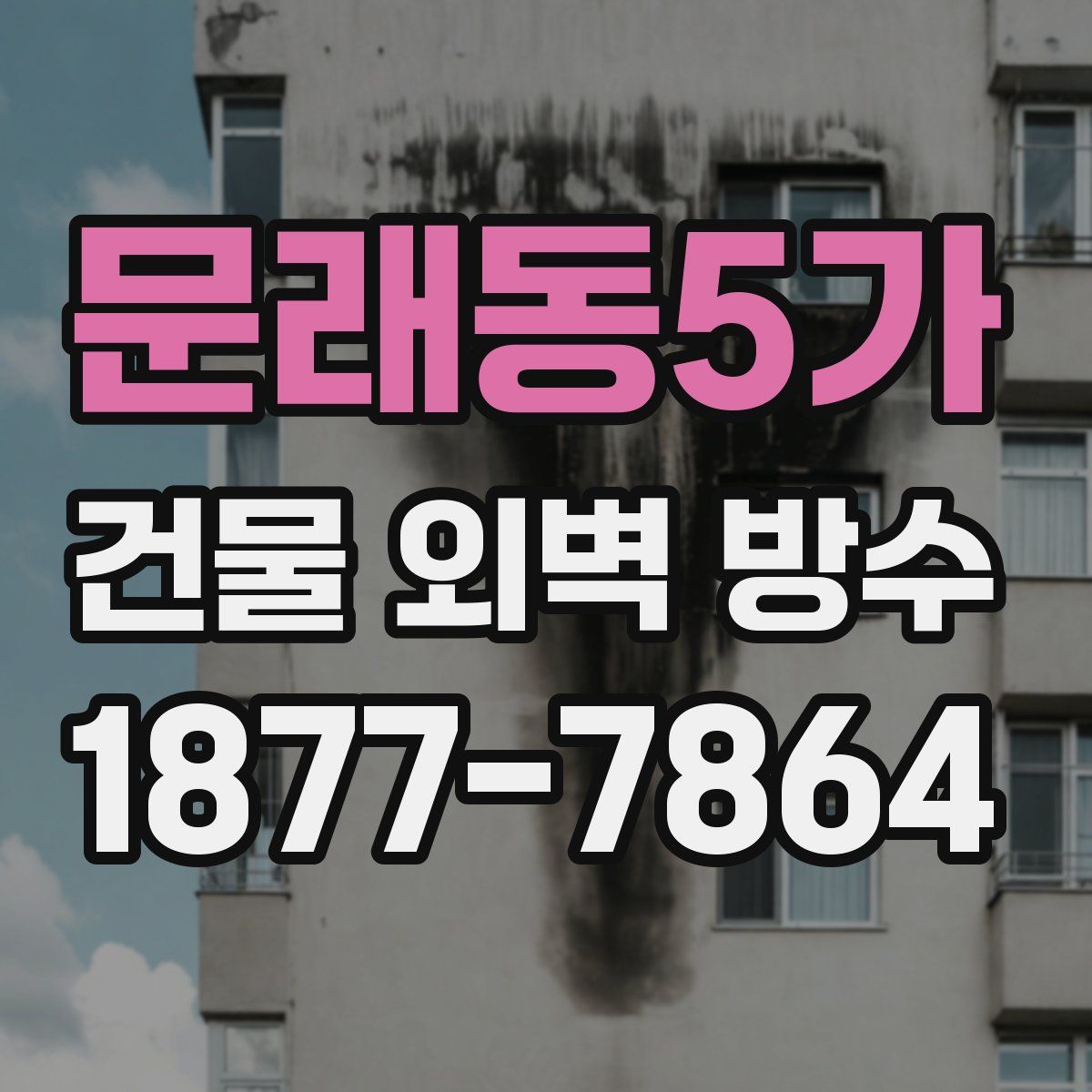 문래동5가 건물 외벽 방수