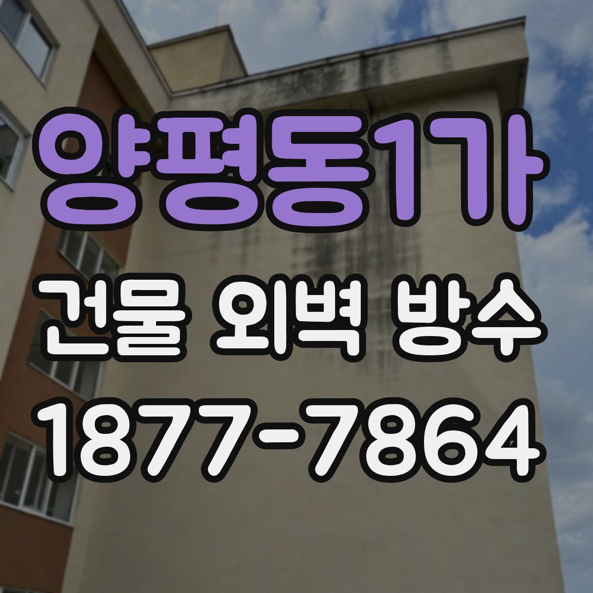 양평동1가 건물 외벽 방수