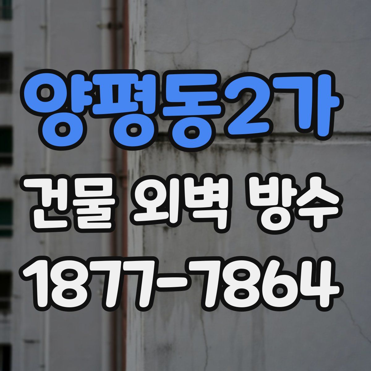 양평동2가 건물 외벽 방수