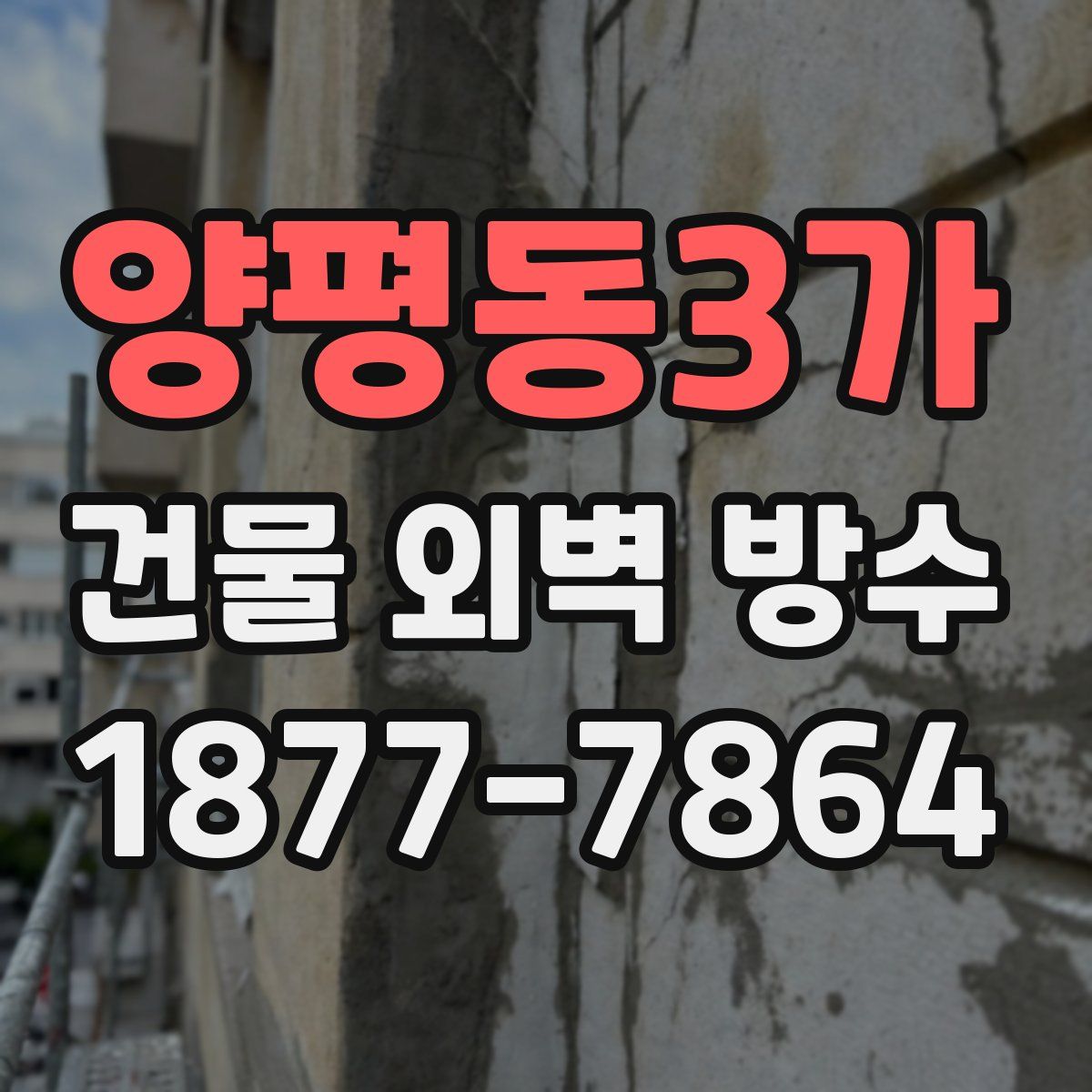 양평동3가 건물 외벽 방수