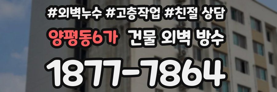 양평동6가 건물 외벽 방수