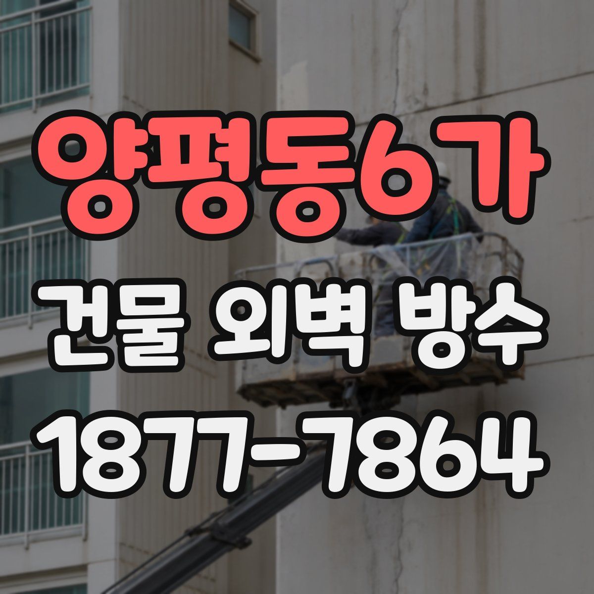 양평동6가 건물 외벽 방수