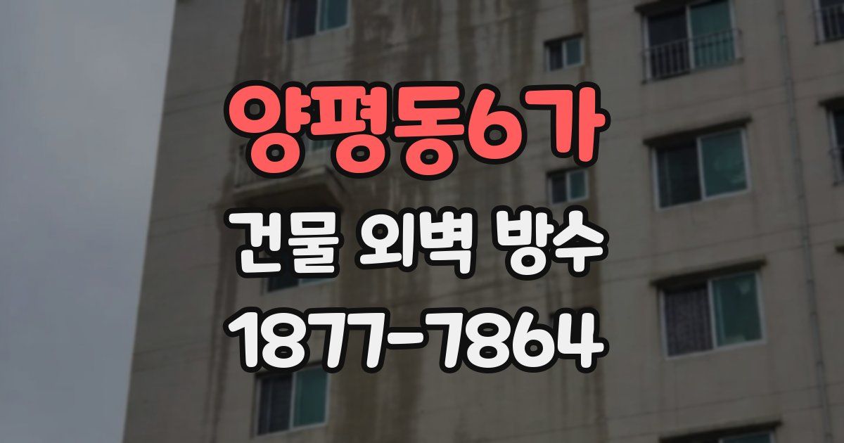 양평동6가 건물 외벽 방수