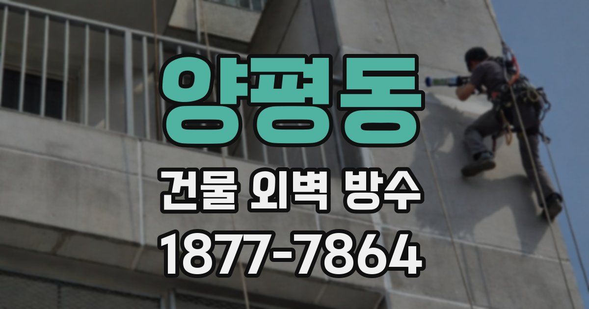 양평동 건물 외벽 방수