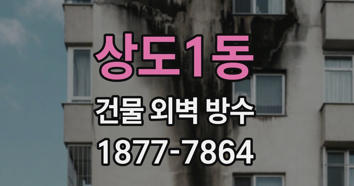 상도1동 건물 외벽 방수