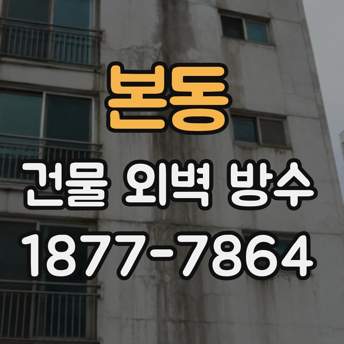 본동 건물 외벽 방수