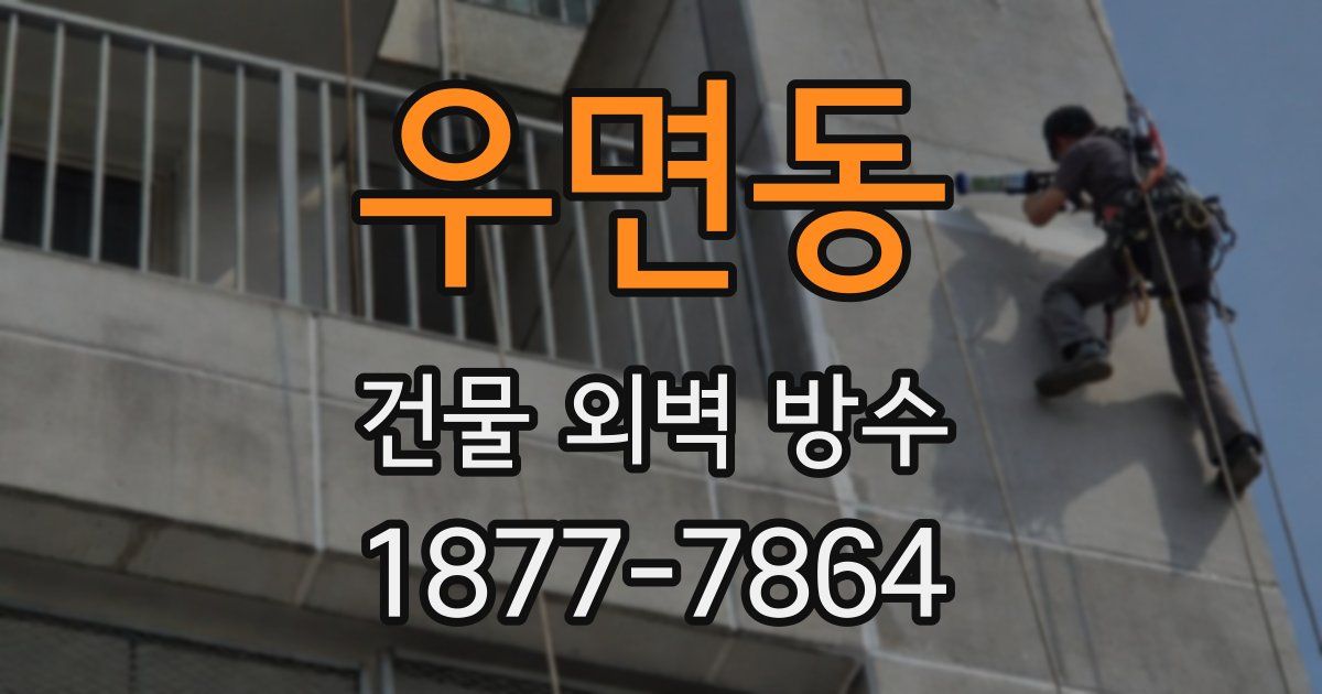 우면동 건물 외벽 방수