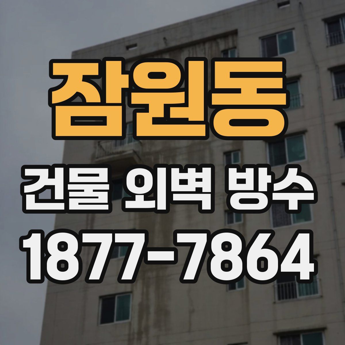 잠원동 건물 외벽 방수