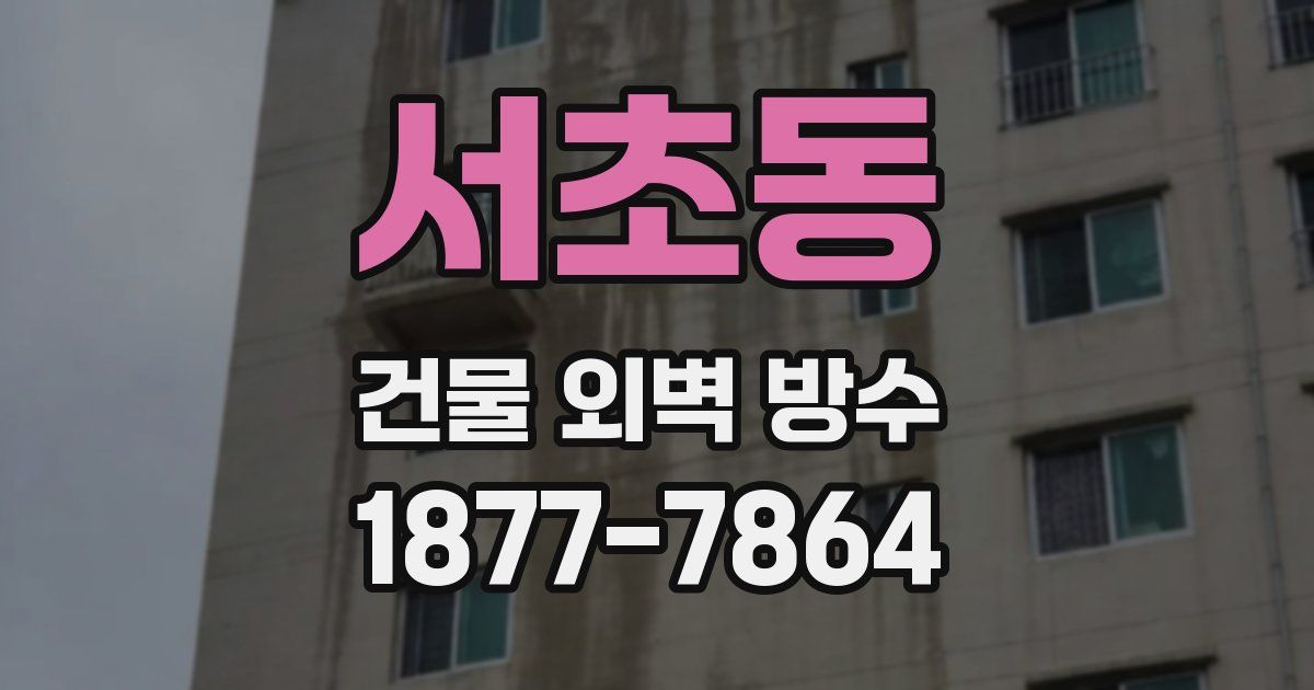 서초동 건물 외벽 방수