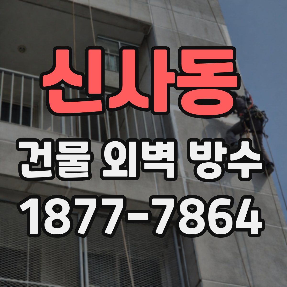신사동 건물 외벽 방수