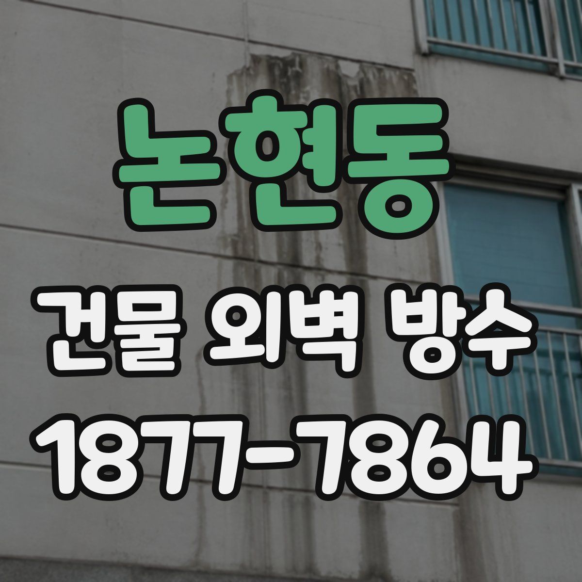논현동 건물 외벽 방수