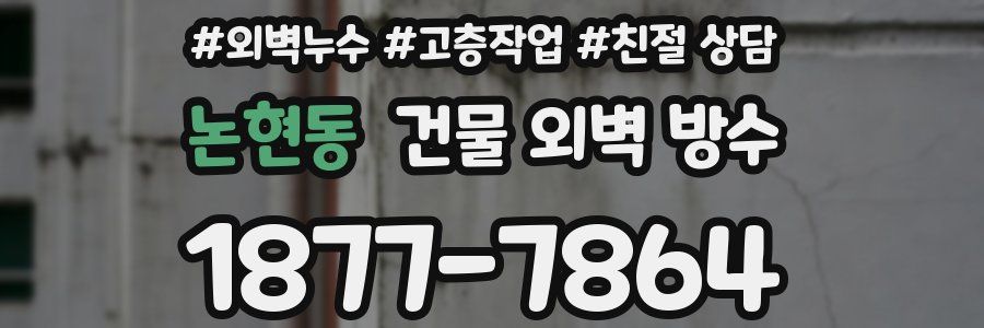 논현동 건물 외벽 방수