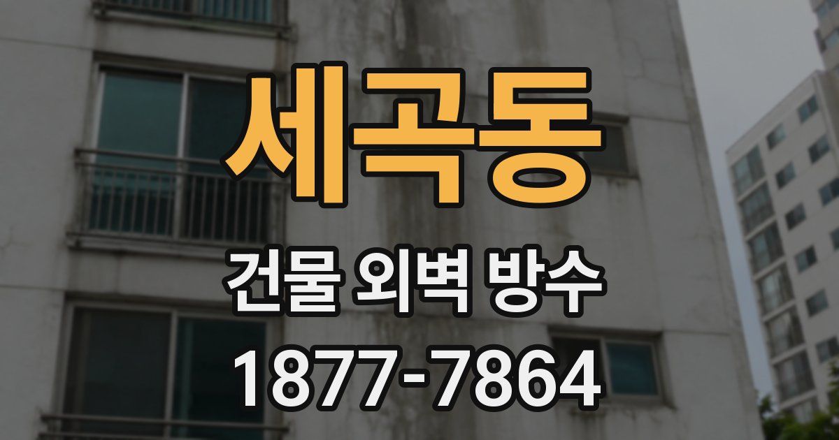 세곡동 건물 외벽 방수