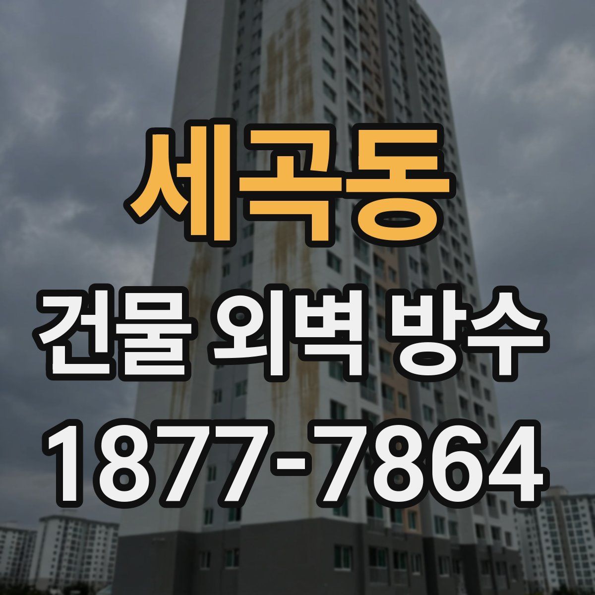세곡동 건물 외벽 방수