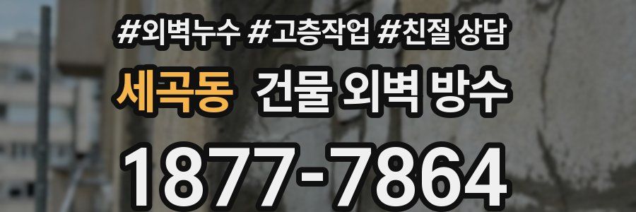 세곡동 건물 외벽 방수