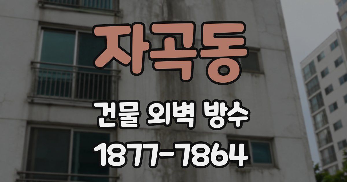 자곡동 건물 외벽 방수