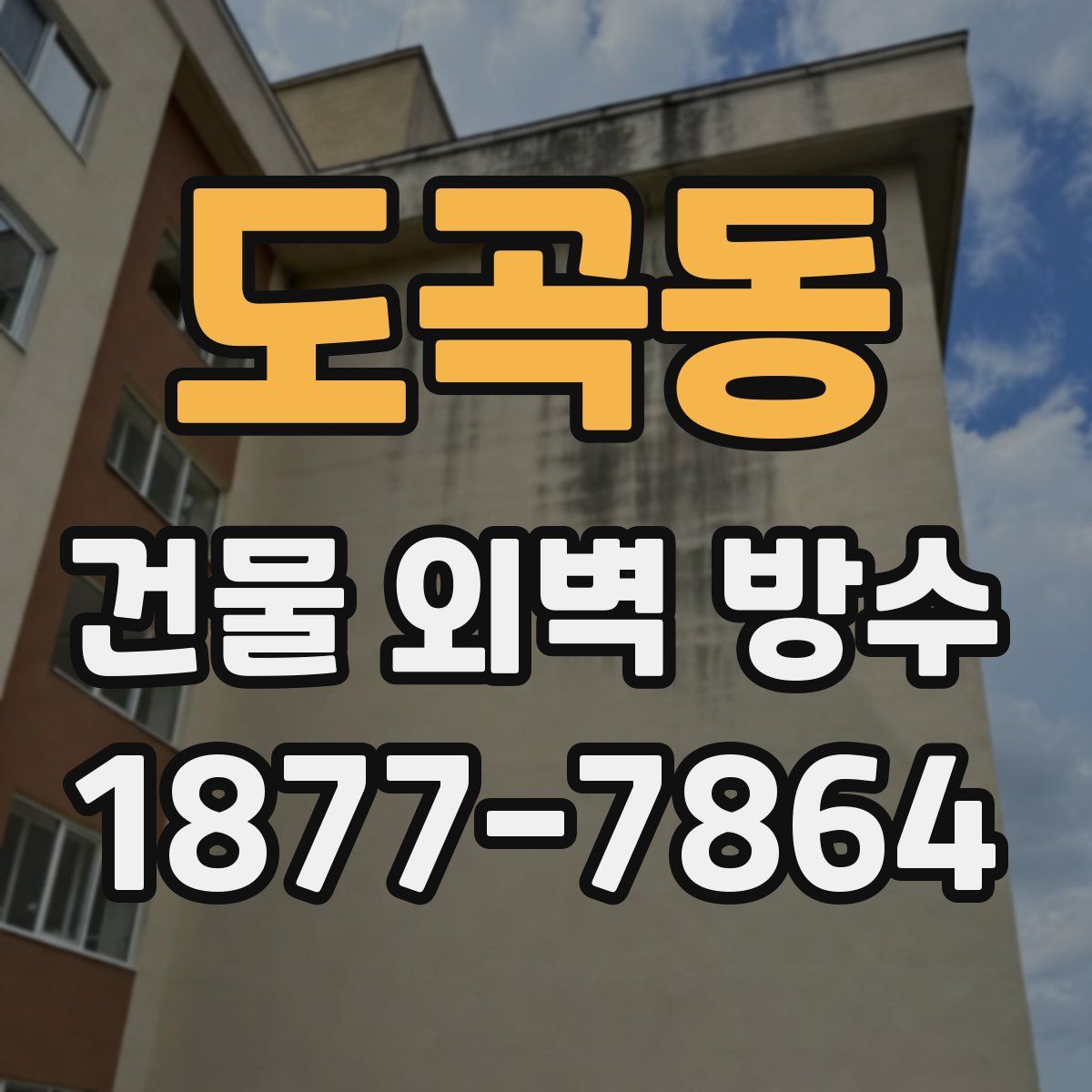 도곡동 건물 외벽 방수
