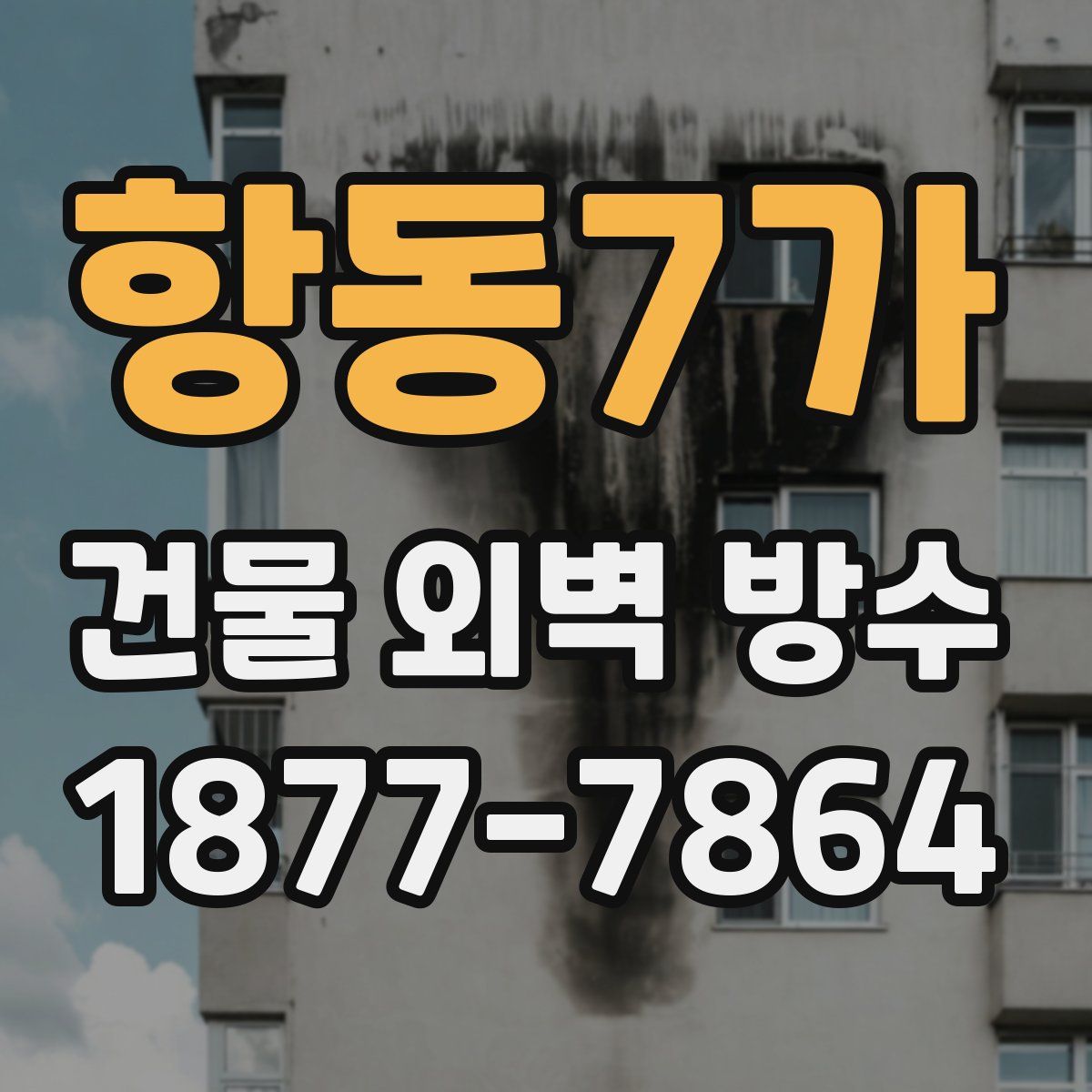 항동7가 건물 외벽 방수