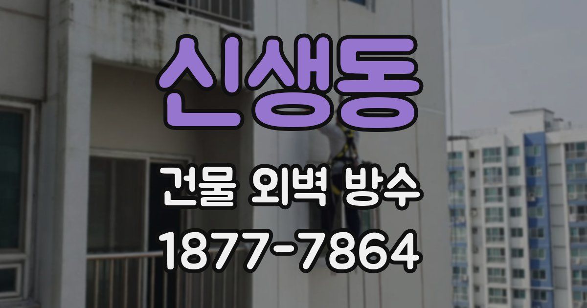 신생동 건물 외벽 방수