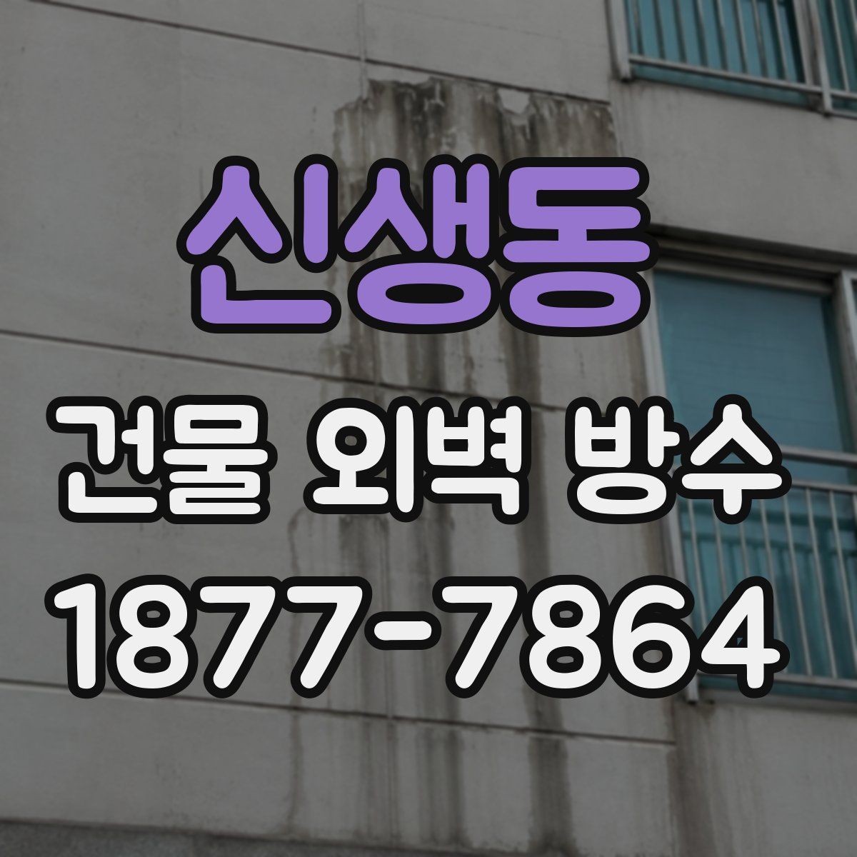 신생동 건물 외벽 방수