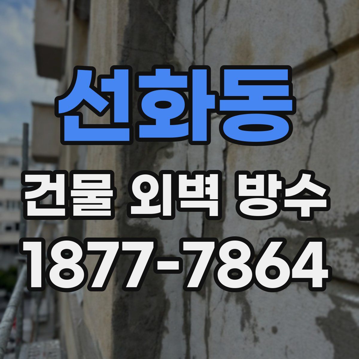 선화동 건물 외벽 방수
