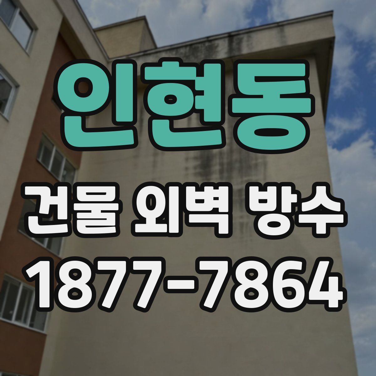 인현동 건물 외벽 방수